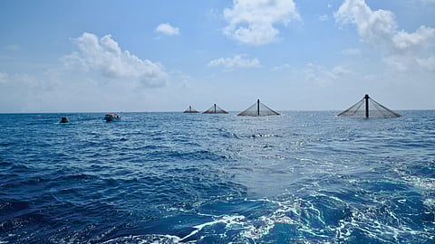 Innovasea's Sea Station submersible pens will be used in the Namibia project. Photo: Innovasea