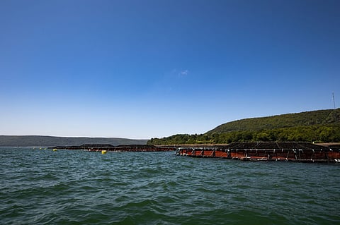 Cooke Aquaculture in Nova Scotia. Photo: Cooke Aquaculture Inc. / Kelly Cove Salmon Ltd.