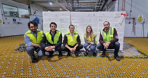 The pioneering palletized salmon shipping system implemented by Mowi Chile eliminates product handling by one-third and reduces loading and unloading time by 65%. Photo: Mowi Chile.