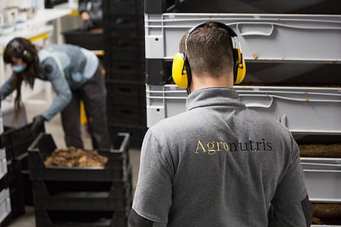 BioMar and Agronutris join forces on insect protein-based feed