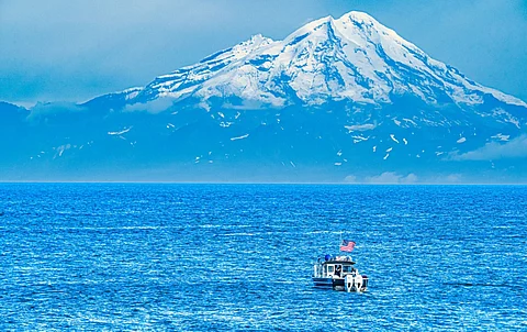 A new bill calls for the creation of a new label, 'Wild USA Seafood' to label U.S.-caught fish and shellfish and support U.S. fishermen. Photo: Adobe Stock.