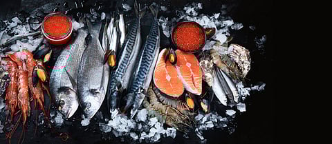 Fresh fish and seafood. Photo by: Adobe Stock.
