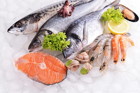 Fresh fish and other seafood on ice. Photo by: Adobe Stock.