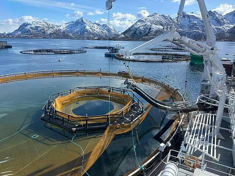 Cermaq and BioSort launched the fourth iFarm, the AI-based aquaculture project