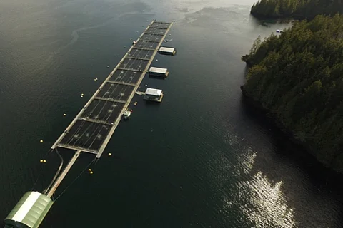Mowi Canada West Monday Rock salmon farm, where the Poseidon technology is being tested. Photo: Mowi.