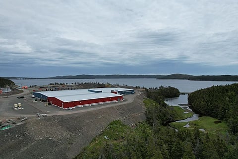 Grieg Seafood facilities. Photo by: Adobe Stock.