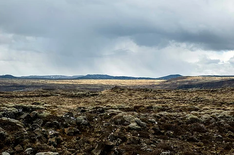 Selvogsheiði lava field near Þorlákshöfn. Photo by: Adobe Stock.