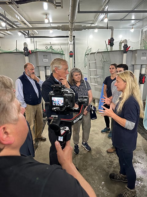 Senator King at Kingfish Maine facilities. Photo by: Kingfish Maine.