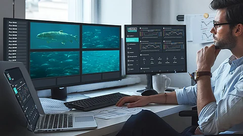 Krucial's remote feed monitoring technology. Photo: Krucial.