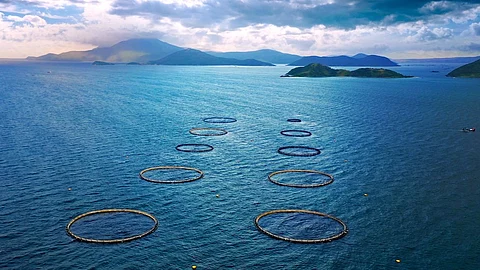 Australis Holdings facilities. Photo by: ADB.