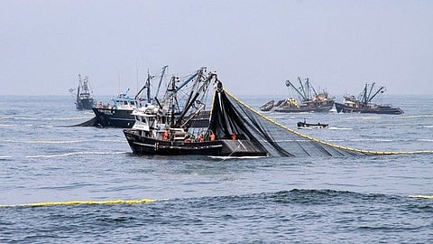 Anchovy fishing vessels in the southern Peruvian sea.