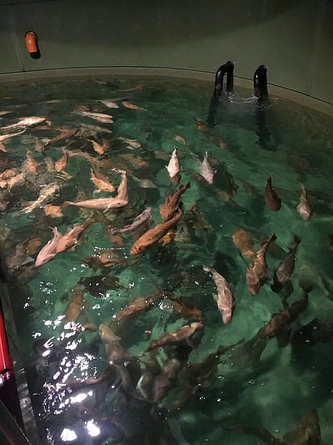 Norcod facilities. Photo by: Norcod.
