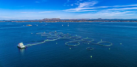Salmon farm in fjord near Bergen, Norway. Photo: Adobe Stock.