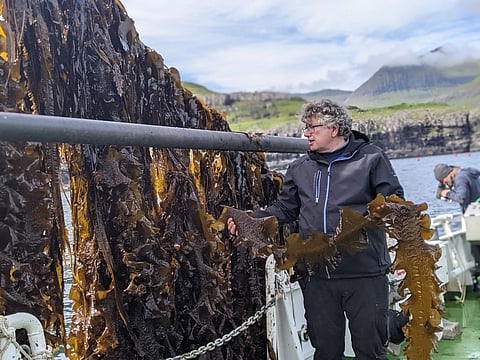 Olavur Gregersen, CEO of Ocean Rainforest. Photo: Ocean Rainforest.