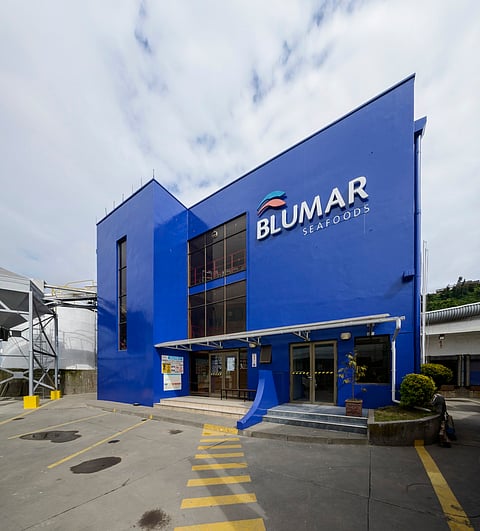 Chile's salmon producer Blumar has been sentenced for providing Sernapesca with false information on pharmacological treatment in one of its farms in Aysén. Photo: Blumar Seafoods.