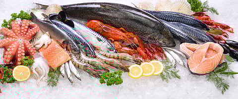Global Dialogue on Seafood Traceability. Photo: Adobe Stock.