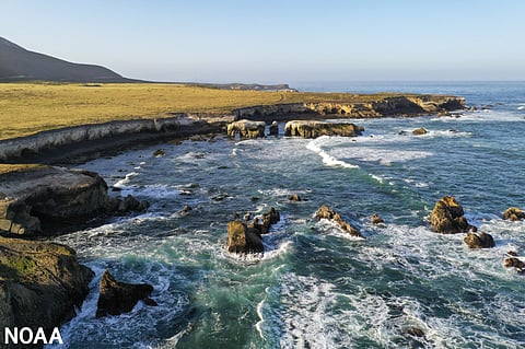 Sunny view of the coastline of the area proposed for the Chumash Heritage National Marine Sanctuary in San Luis Obispo County, California.
A view of the proposed Chumash Heritage National Marine Sanctuary near Montana de Oro State Park in San Luis Obispo County, California. Photo by: Robert Schwemmer/NOAA