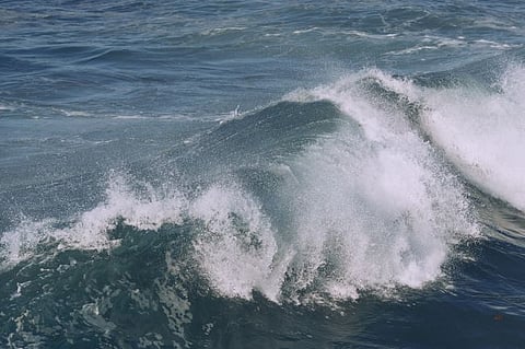 Wave in the sea. Photo by: Portugal Government. 