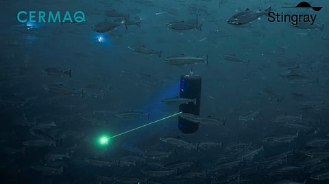 Cemaq plans to use lasers to treat salmon lice. Photo: Cermaq.