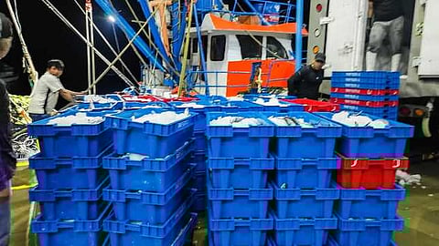 Fishing seized in Piura, Peru. Photo by: Produce.