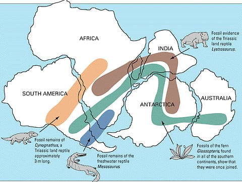 There was a time when the idea of moving continents was not taken seriously, not withstanding the convenient 'fit.' However, scientists produced evidence to suggest that there was once a proto-continent — Pangea — that later broke up into today's continents