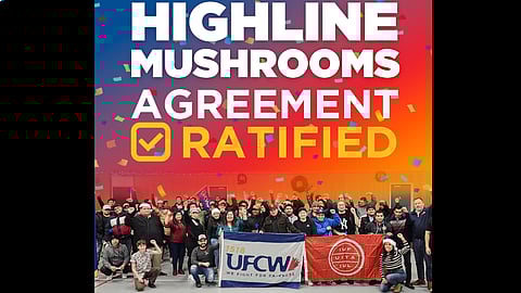 UFCW workers for Highline Mushrooms ratified their first unionized contract
