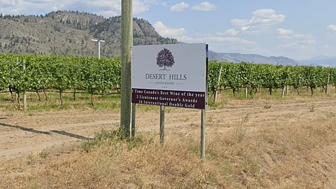 Desert Hills Estate Winery
