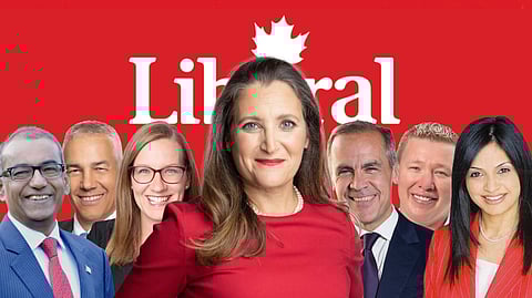 Liberal leadership hopefuls