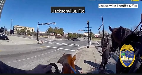 GIDDY-UP: Watch cops in Jacksonville gallop after drug dealer