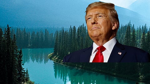 President Donald Trump