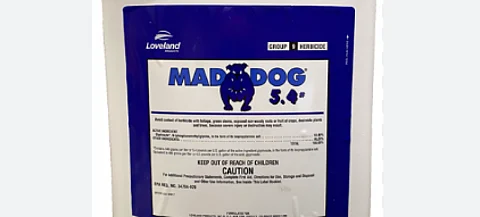 Mad Dog Plus