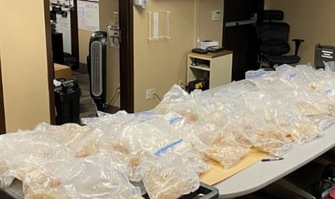 US federal court convicts Indian man for smuggling 174 lbs of ecstasy across northern border