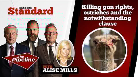 Killing gun rights, ostriches and the notwithstanding clause