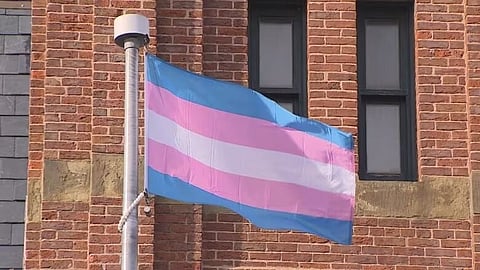The transgender flag.