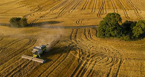 Farmer