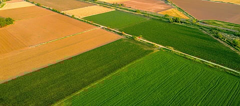 A new cereals collaboration between the prairies provinces aims to cement Canada’s reputation as a global leader in grain production.