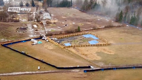 Universal Ostrich Farms