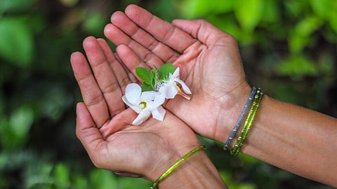 मानसिक आघात के अर्थ का अवलोकन