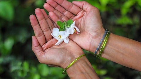 মানসিক রোগ নিরাময়ে আয়ুর্বেদ কতদূর কার্যকরী?