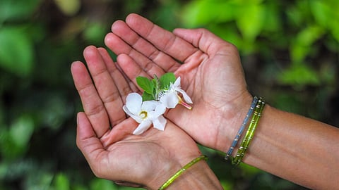 নিজের কথা: কৃতজ্ঞতাবোধের অনুশীলন মানে নিজের মনের আলোয় নিজের জীবনকে দেখা