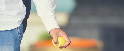 प्रत्यास्थी प्रतिक्रिया (रिज़िलीअन्स) क्या है?