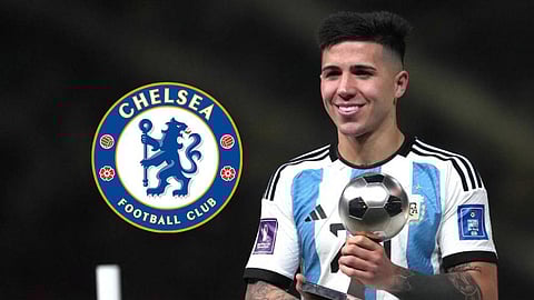 إنزو فيرنانديز