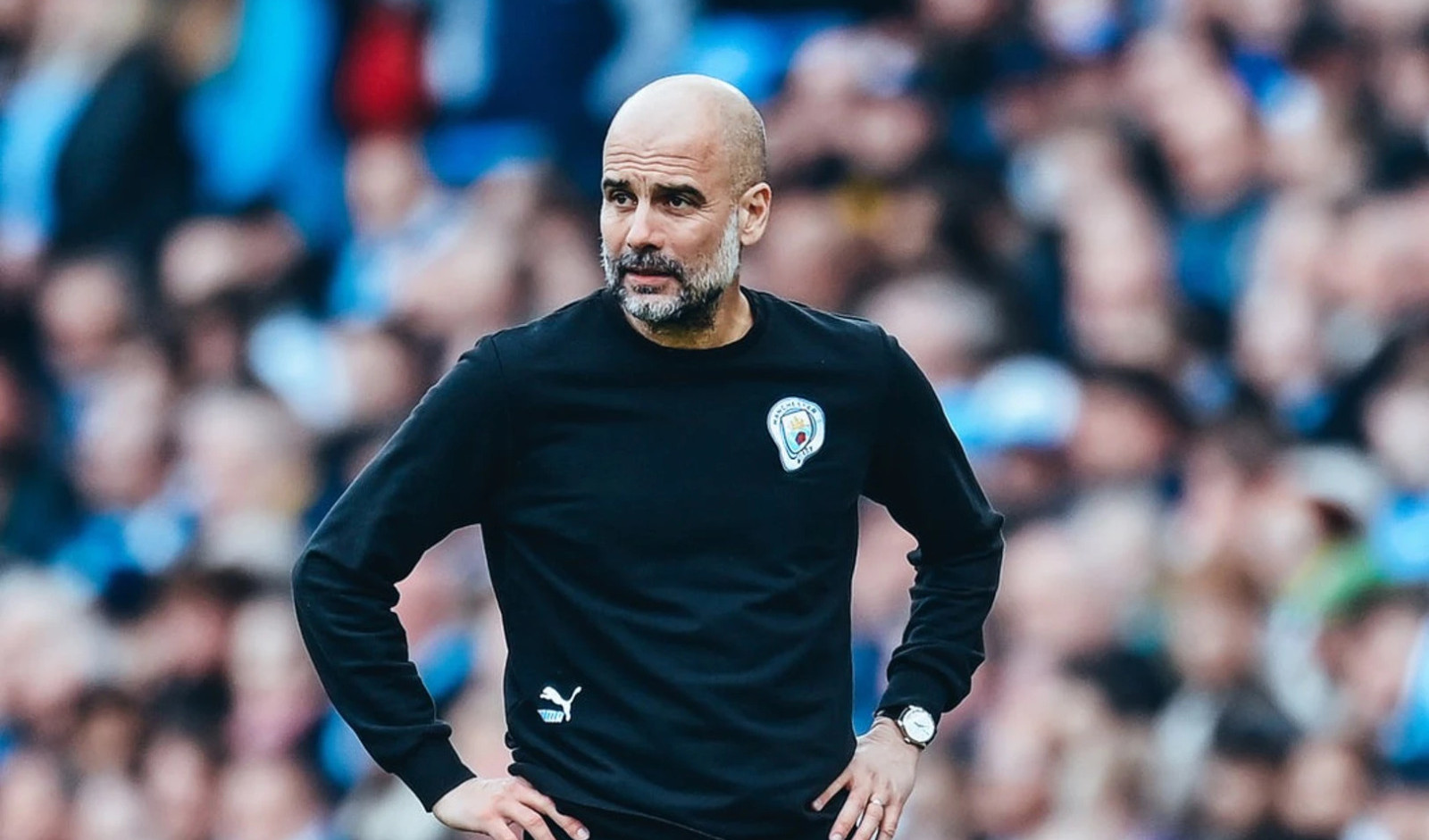 بيب جوارديولا