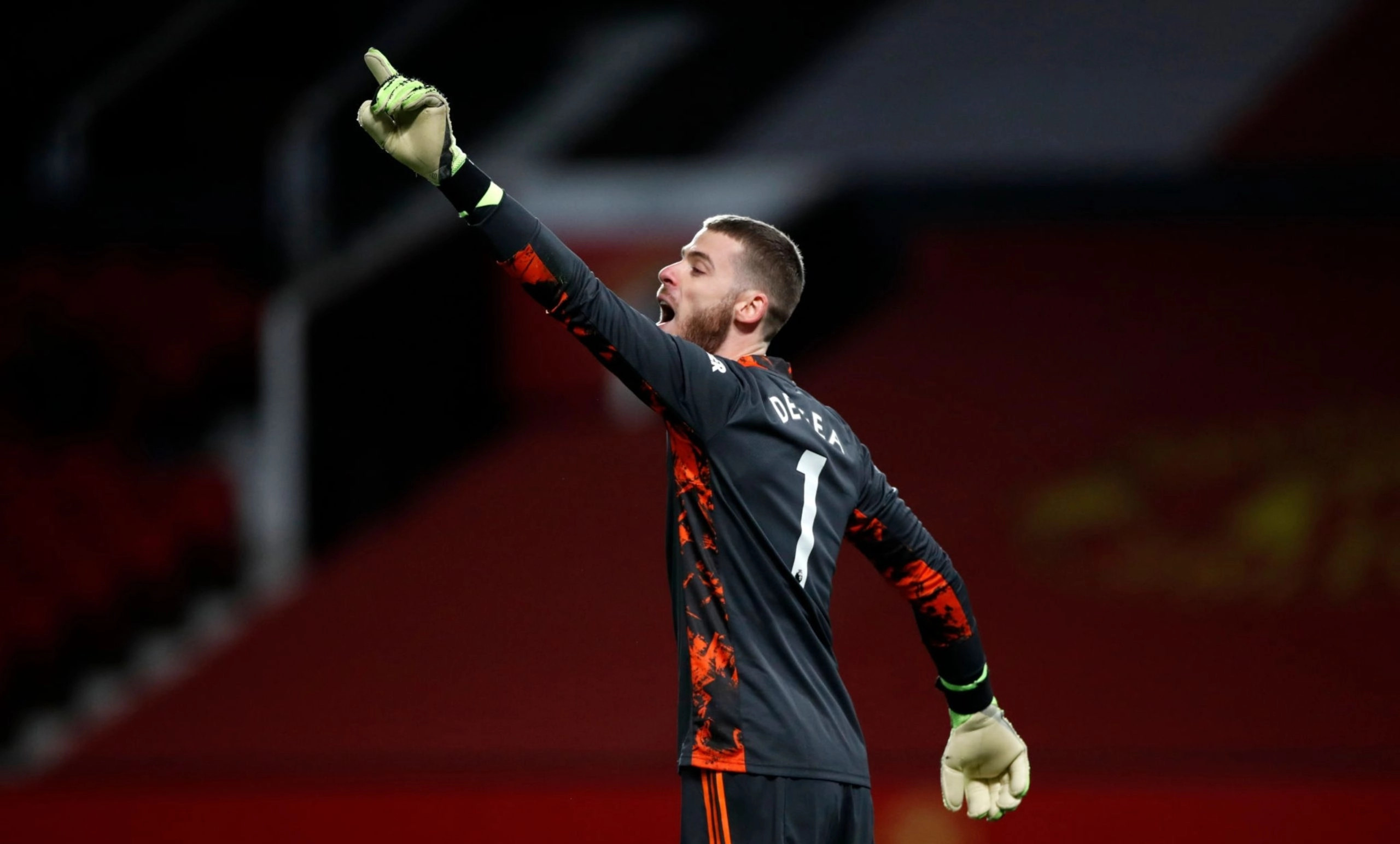 ديفيد دي خيا