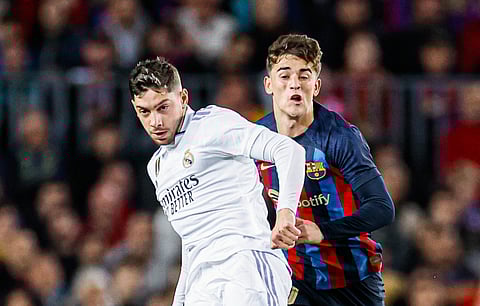 فيدي فالفيردي