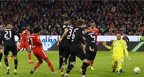 بايرن ميونخ - فيردر بريمن