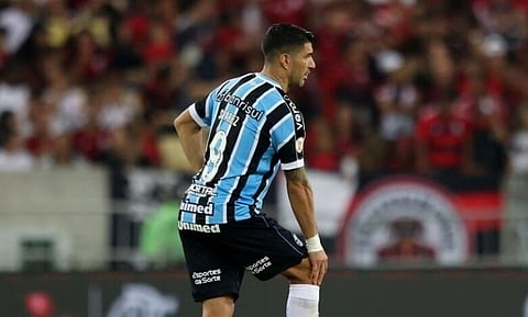 لويس سواريز