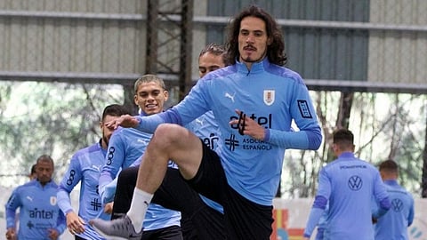 إدينسون كافاني