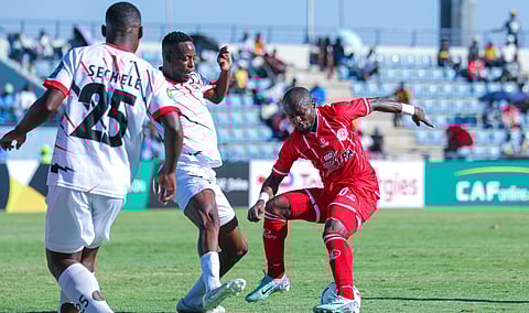 سيمبا التنزاني