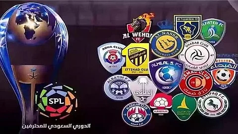 الدوري السعودي للمحترفين